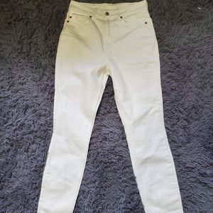 Womens pants